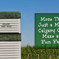 Calgary Corn Maze (Family Fun Calgary)