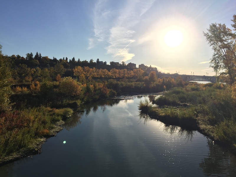 Más allá del patio de recreo: Parques de Calgary (Family Fun Calgary)