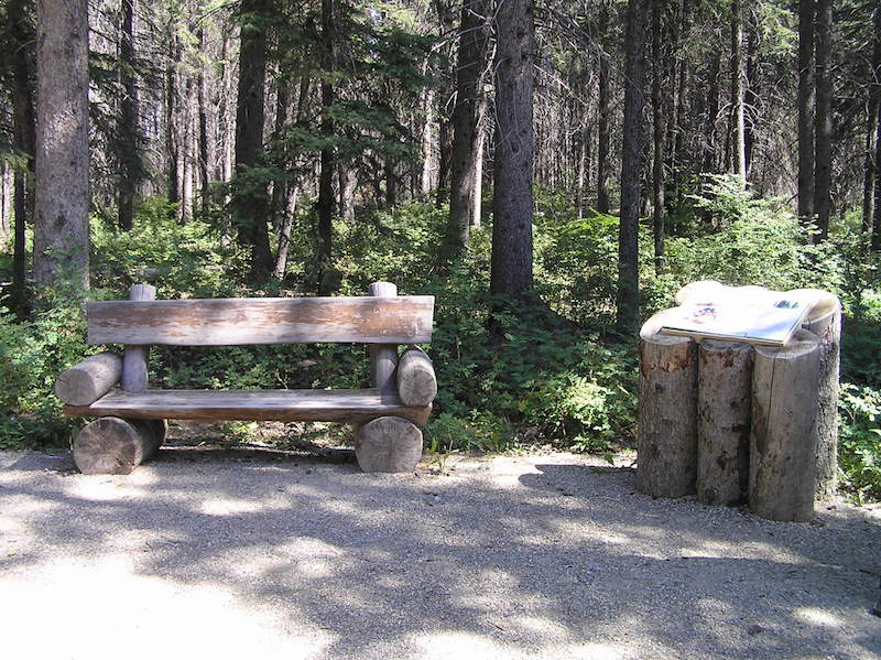 Beyond the Playground: Calgary Parks (Family Fun Calgary)