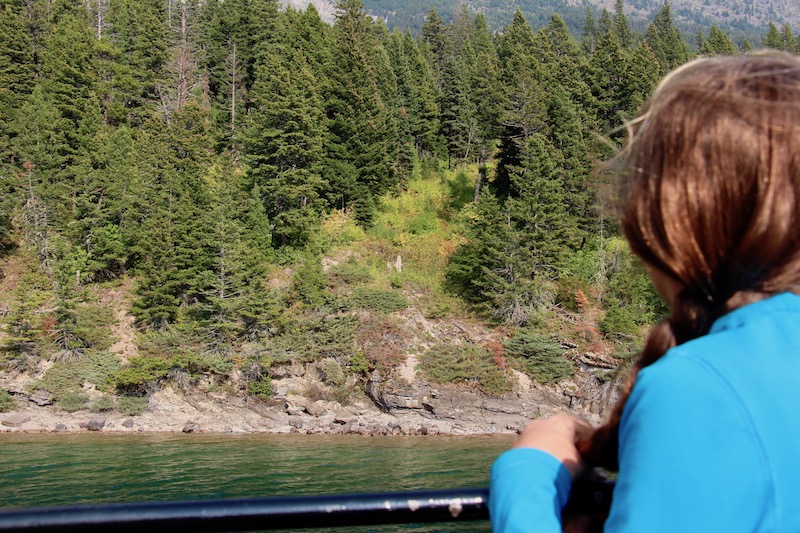 Croisière en bateau sur Waterton (Family Fun Calgary)