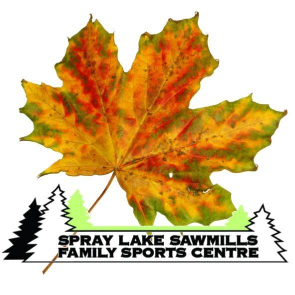 Spray Lakes Sawmills Family Sports Centre (Family Fun Calgary)