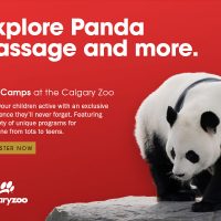 Camps PD du zoo de Calgary (Family Fun Calgary)