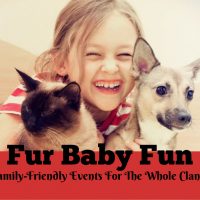 Мероприятия с животными Fur Baby Fun Pet (Семейный отдых в Калгари)