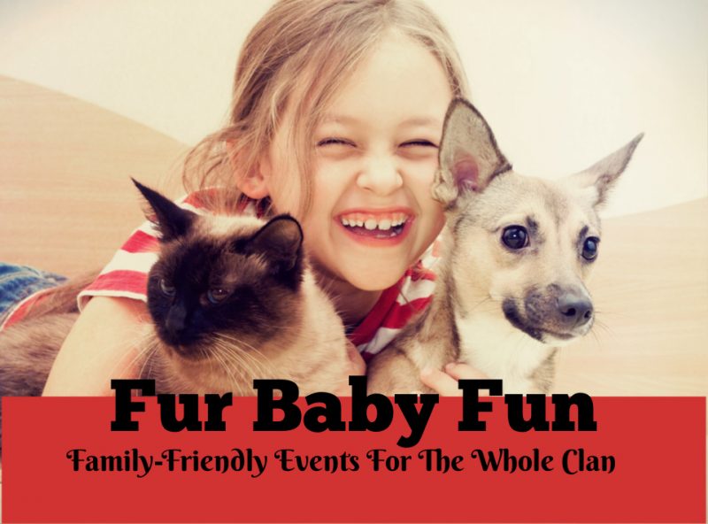 Eventos para mascotas Fur Baby Fun (diversión familiar en Calgary)