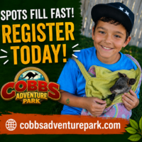 Cobb's Adventure Park Summer Camps (Family Fun Calgary)