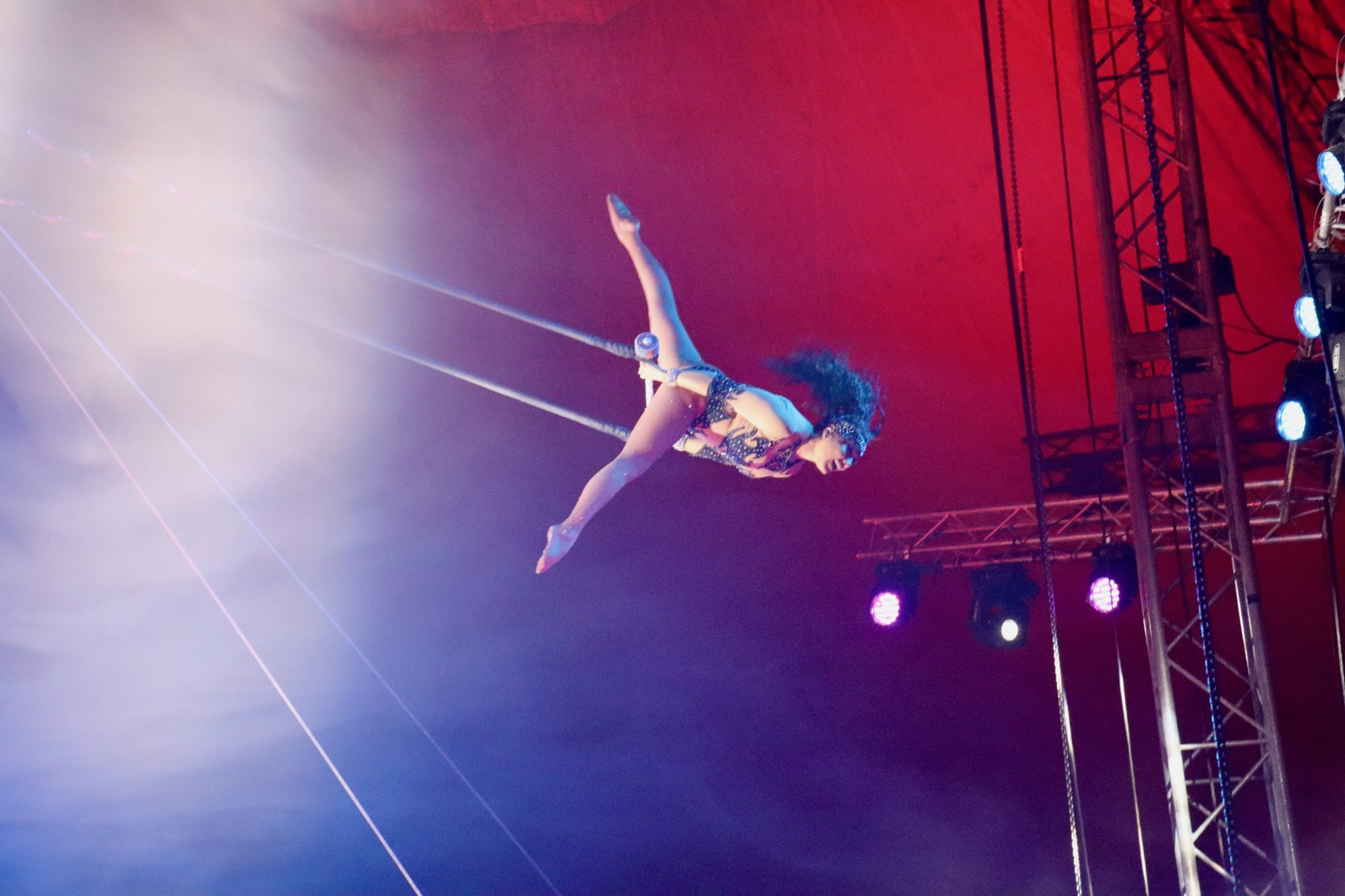 Cirque international royal canadien (Family Fun Calgary)