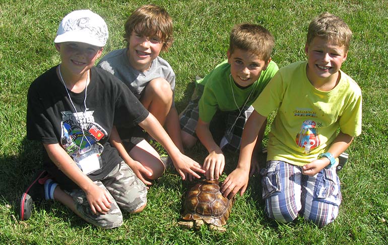 Calgary Reptile Parties Summer Camps (Family Fun Calgary)