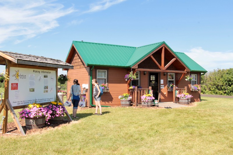 Solstice Berry Farm Visit (Family Fun Calgary)