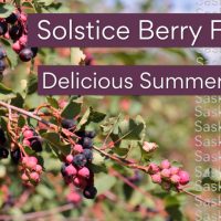Besuch der Solstice Berry Farm (Familienspaß in Calgary)