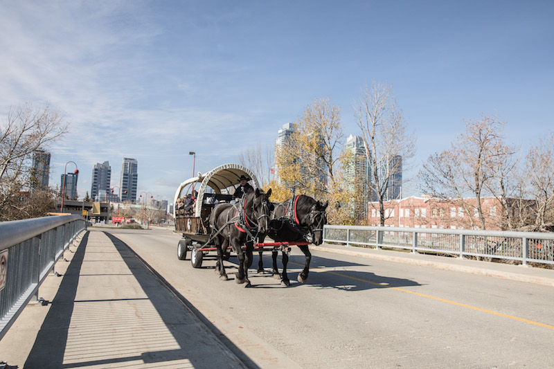 Feria comunitaria de otoño Stampede Park (Family Fun Calgary)