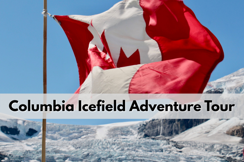 Columbia Icefields (Семейный отдых в Калгари)