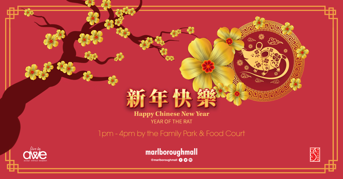 Marlborough Mall Chinese New Year (Family Fun Calgary)