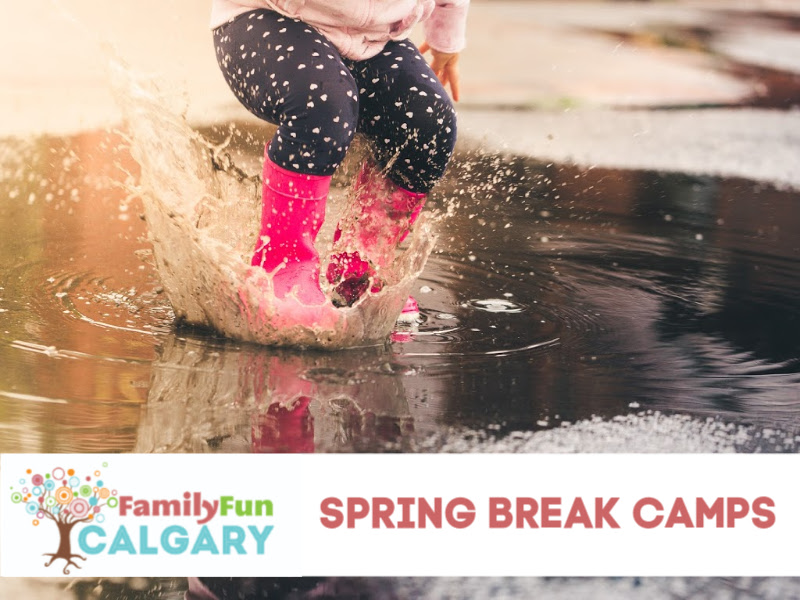 Guide to Spring Break Camps in Calgary