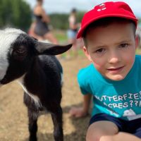 Sommercamps von Butterfield Acres (Familienspaß Calgary)