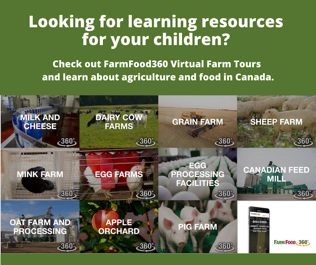 Farm Food 360 Virtual Tours (Family Fun Calgary)