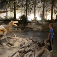 Royal Tyrrell Museum (Family Fun Calgary)