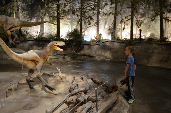 Royal Tyrrell Museum (Family Fun Calgary)