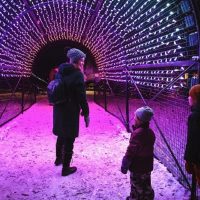 ZOOLIGHTS (Famille Fun Calgary)