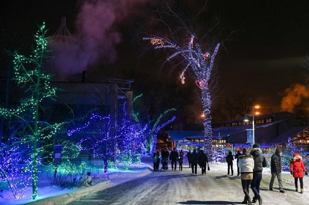 ZOOLIGHTS at the Calgary Zoo Family Fun Calgary