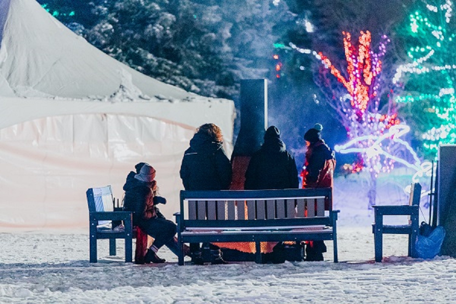 ZOOLIGHTS at the Calgary Zoo Family Fun Calgary