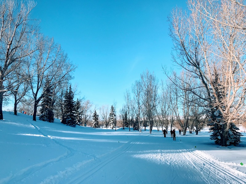 Cross-Country Skiing Confederation Park Golf Course (Family Fun Calgary)