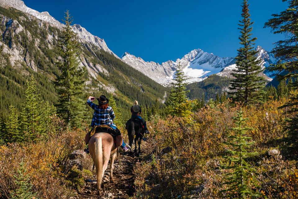 Banff Trail Riders (Familienspaß Calgary)