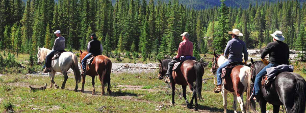 Aventuras a cavalo na montanha Moose (diversão em família em Calgary)