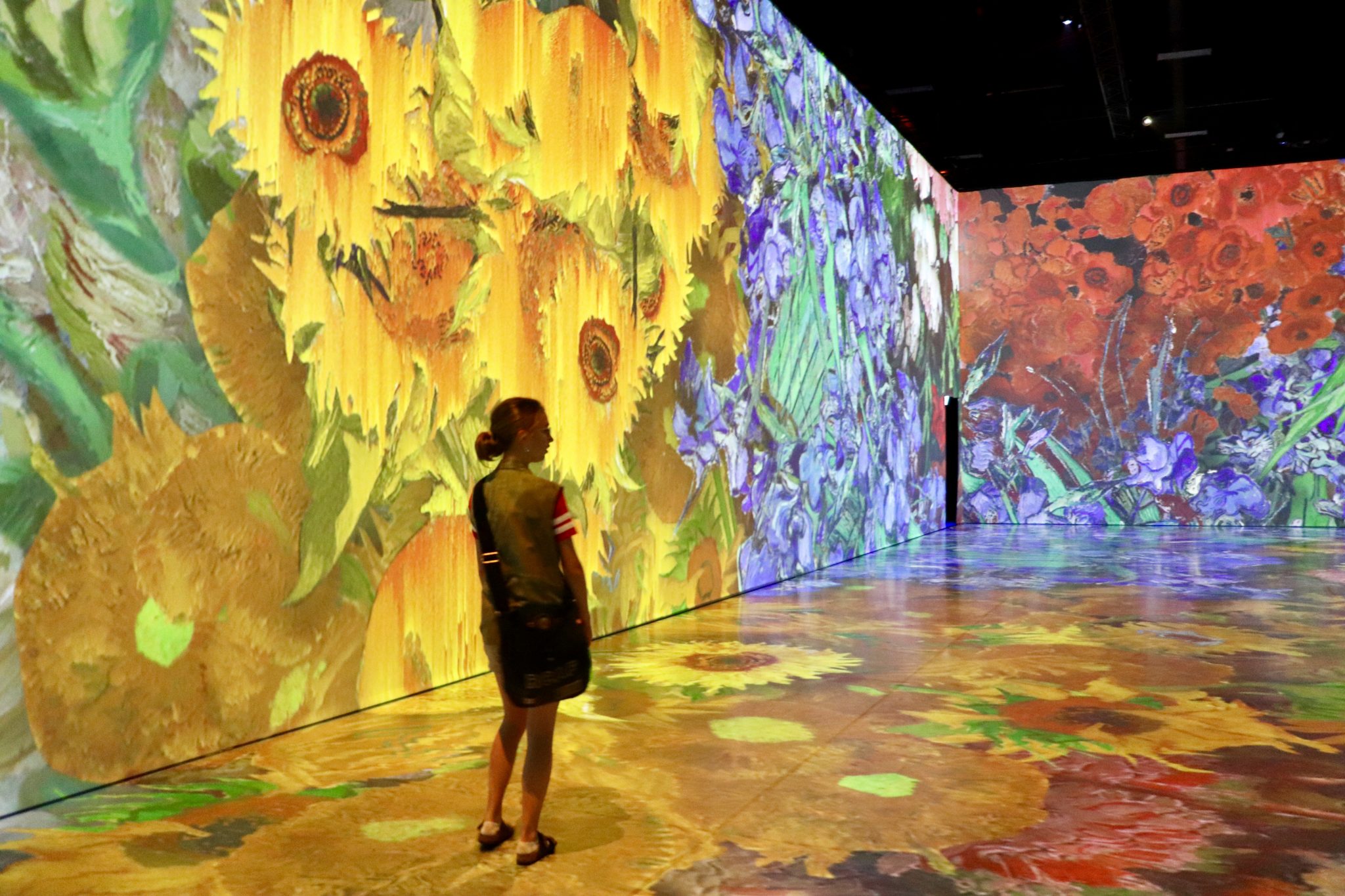 Discount Codes For Beyond Van Gogh at William Blaise blog