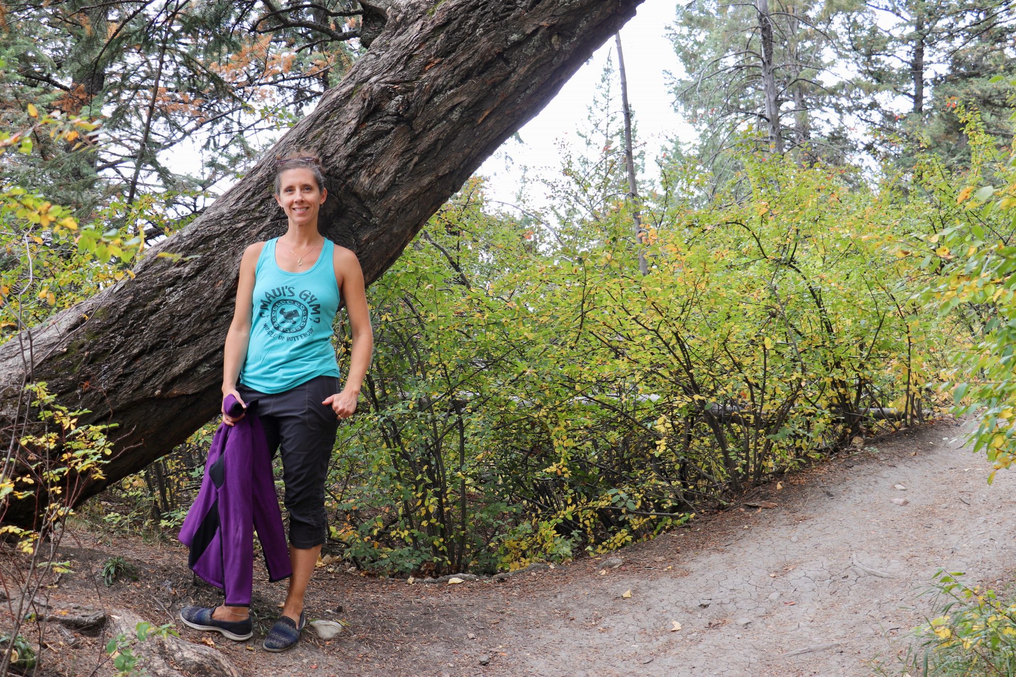 Douglas Fir Trail Edworthy Park (Семейный отдых в Калгари)