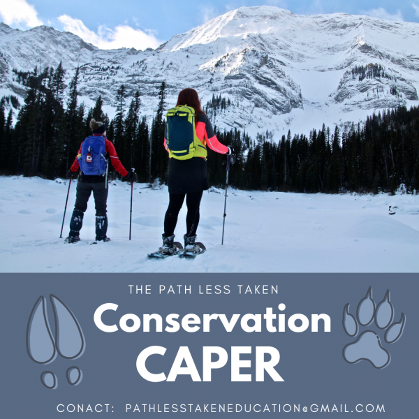 The Path Less Taken Conservation Caper Snowshoe (Family Fun Calgary)