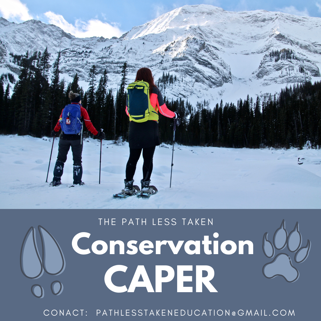 The Path Less Taken Conservation Caper Snowshoe (Family Fun Calgary)