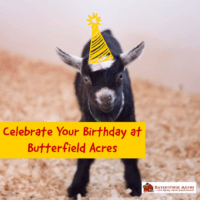 Butterfield Acres Birthday Parties (Family Fun Calgary)