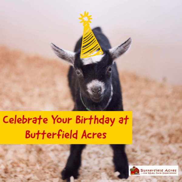 Festas de aniversário de Butterfield Acres (diversão em família em Calgary)