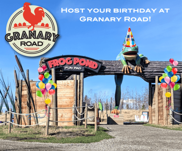 Granary Roadの誕生日パーティー（Family Fun Calgary）