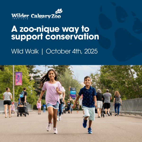 Calgary Zoo Wild Walk (Family Fun Calgary)