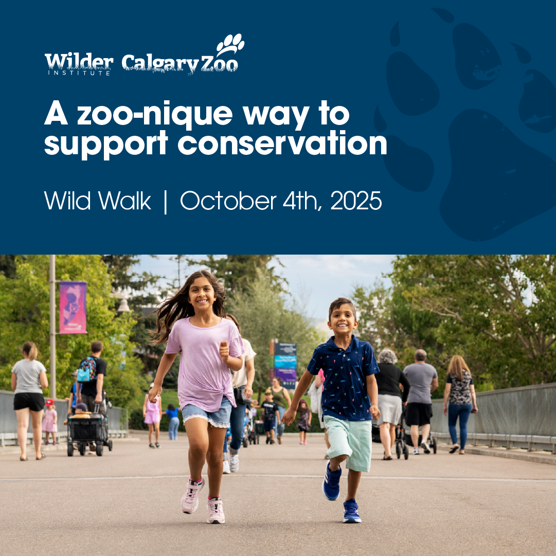 Calgary Zoo Wild Walk (Family Fun Calgary)