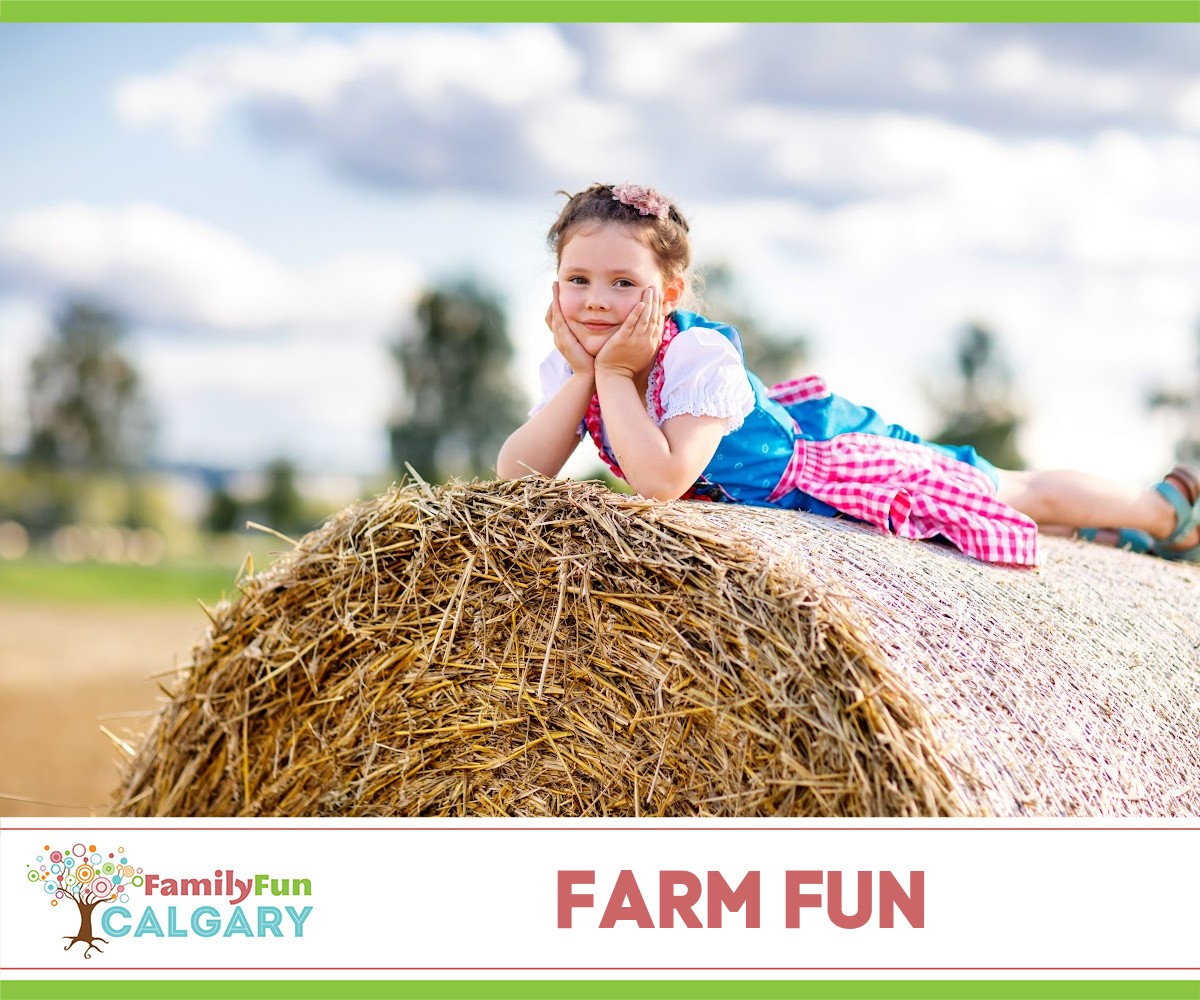 Farm Fun (Family Fun Calgary)