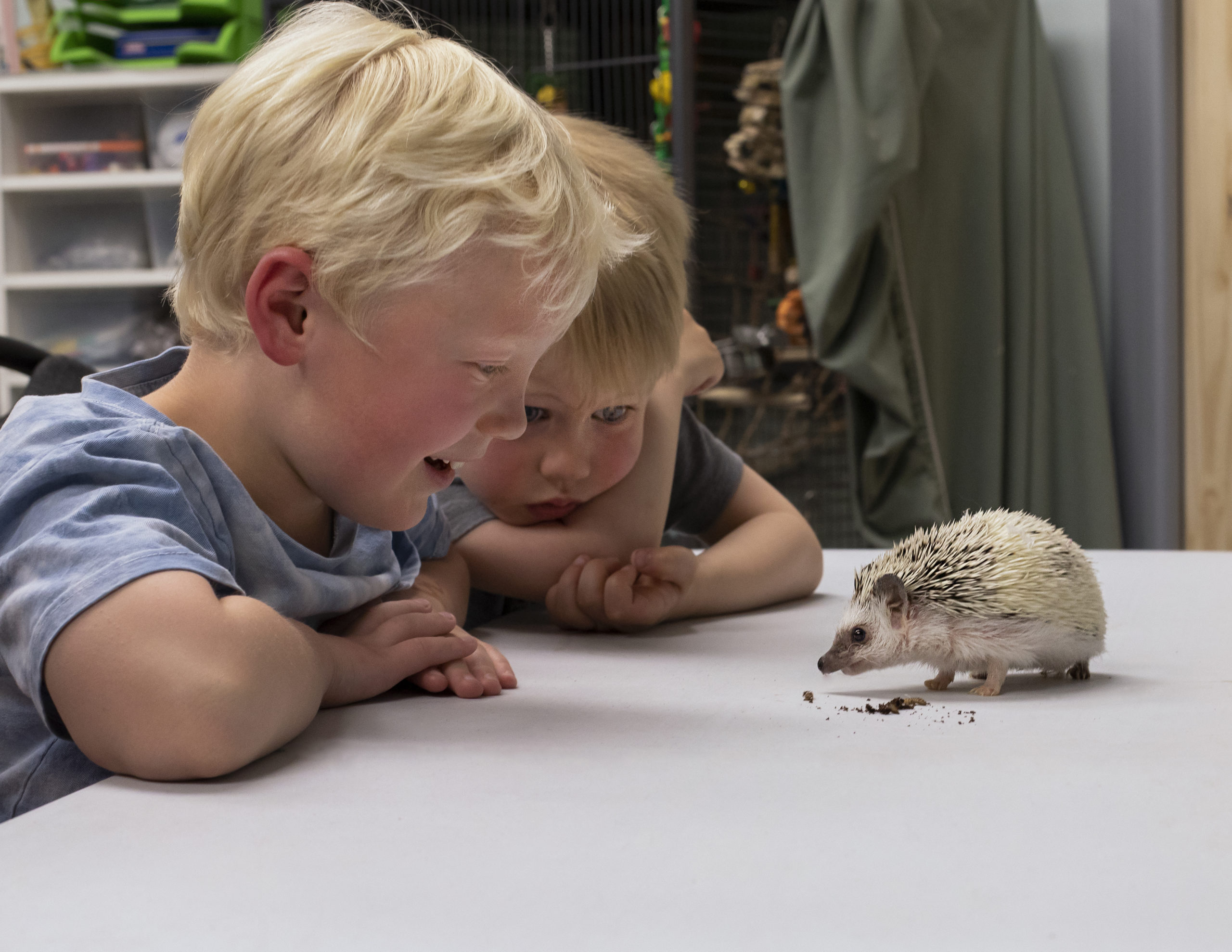 YYC Nature & Education Centre (Family Fun Calgary)