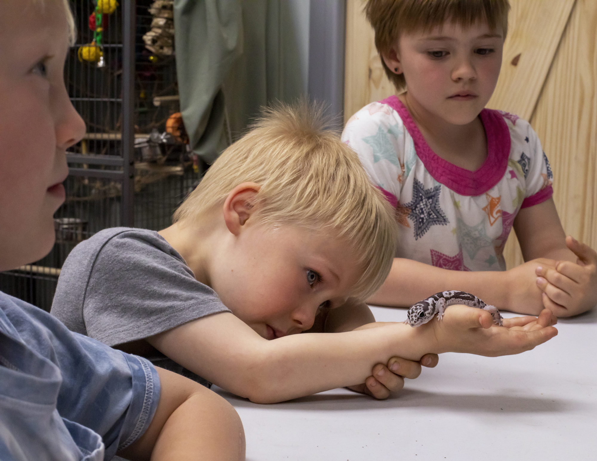 YYC Nature & Education Centre (Family Fun Calgary)