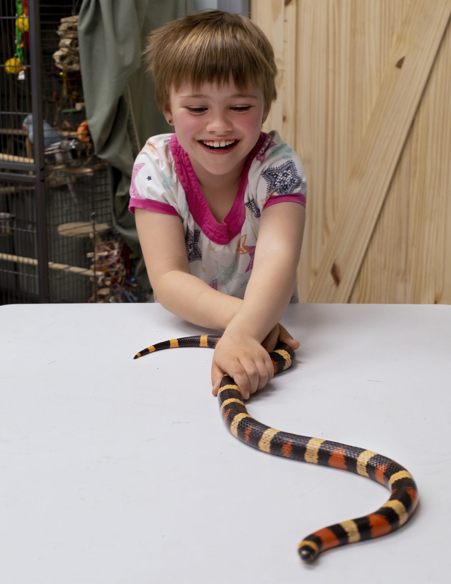 YYC Nature & Education Centre (Family Fun Calgary)