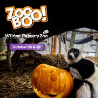 ZooBOO Calgary Zoo Halloween (Family Fun Calgary)