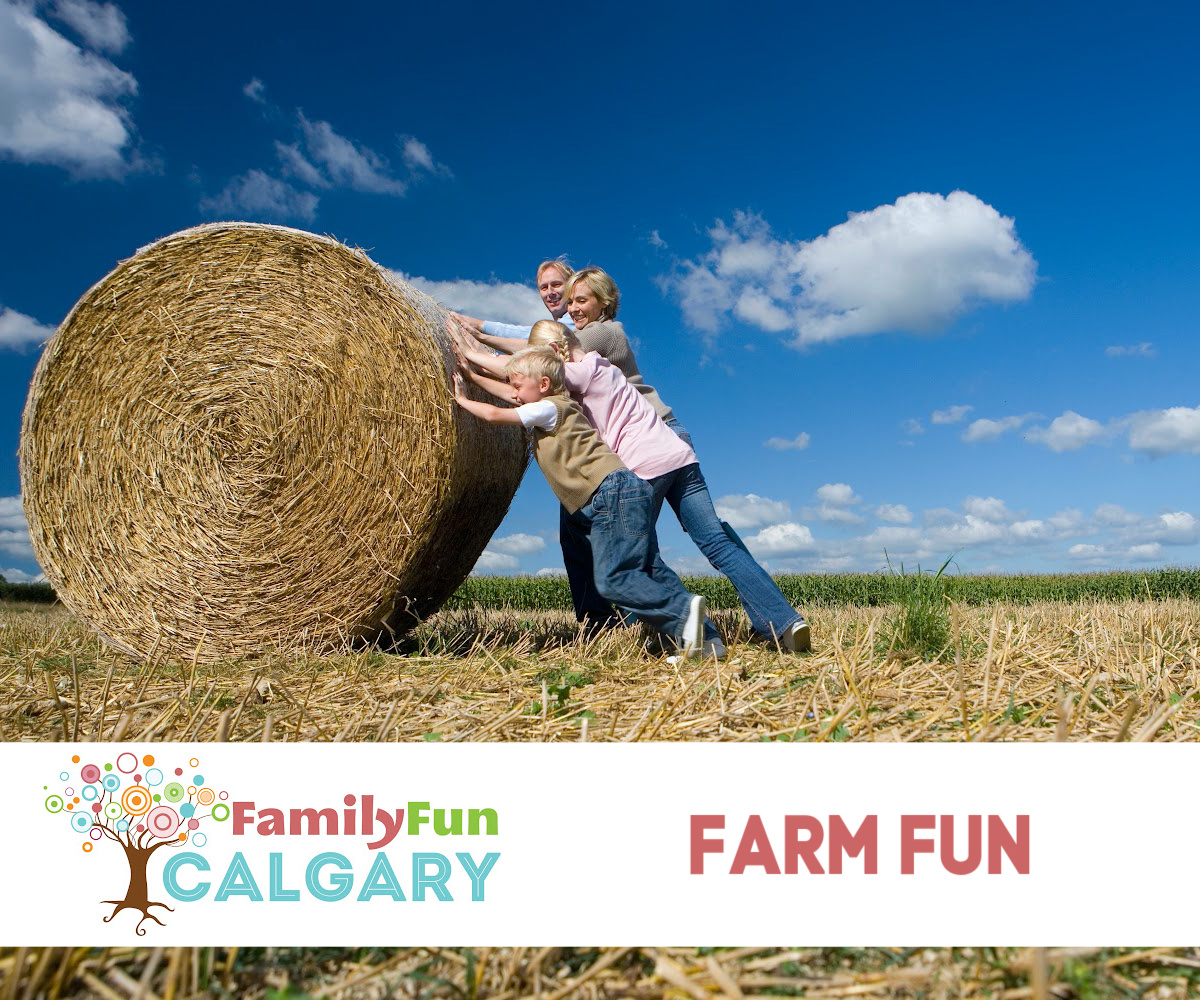Diversión en la granja (Diversión familiar en Calgary)