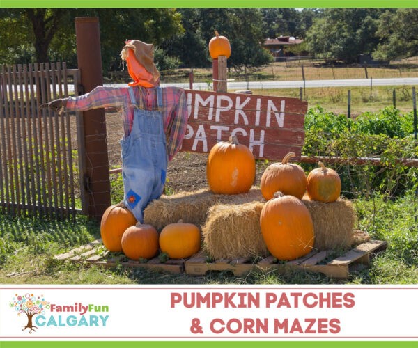 Guía de Pumpkin Patch (Diversión familiar Calgary)