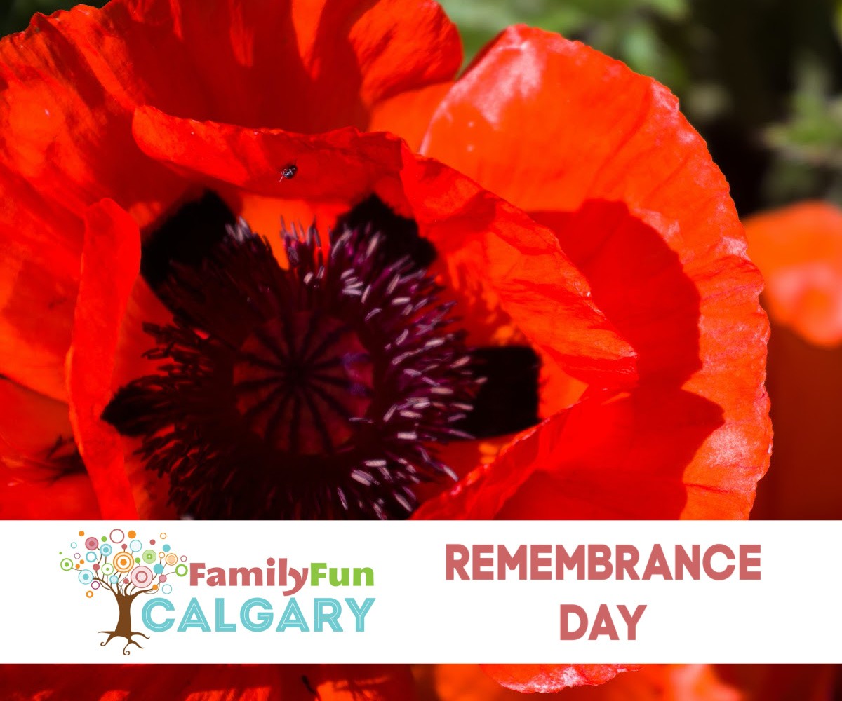 Remembrance Day (Family Fun Calgary)
