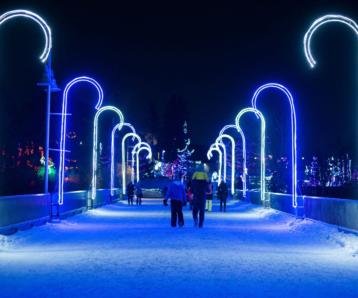 ZOOLIGHTS (Plaisir en famille à Calgary)