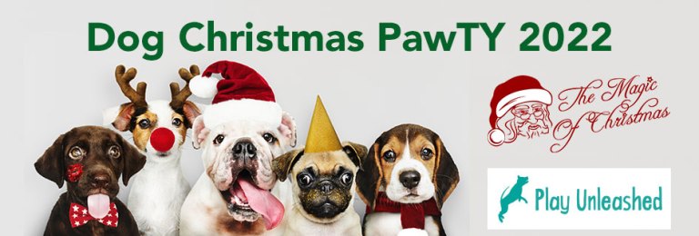 Christmas Dog PawTY (Family Fun Calgary)