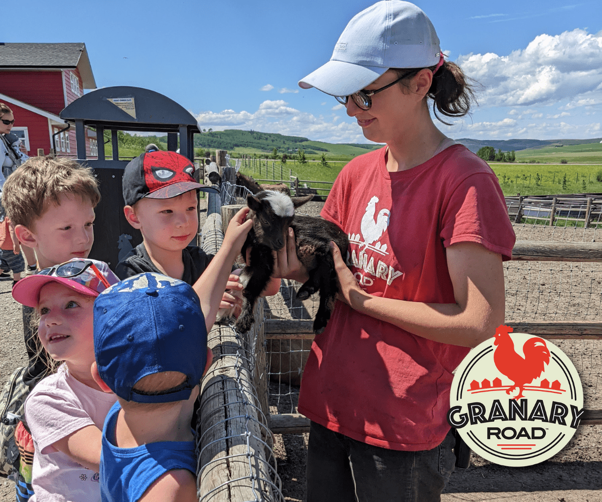 Granary Road Summer Camps (Family Fun Calgary)