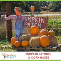 Pumpkin Patches (Family Fun Calgary)