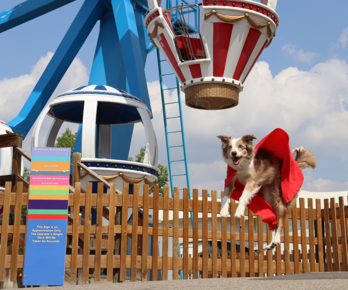 Calaway Park Comic Fest for Kids (Family Fun Calgary)