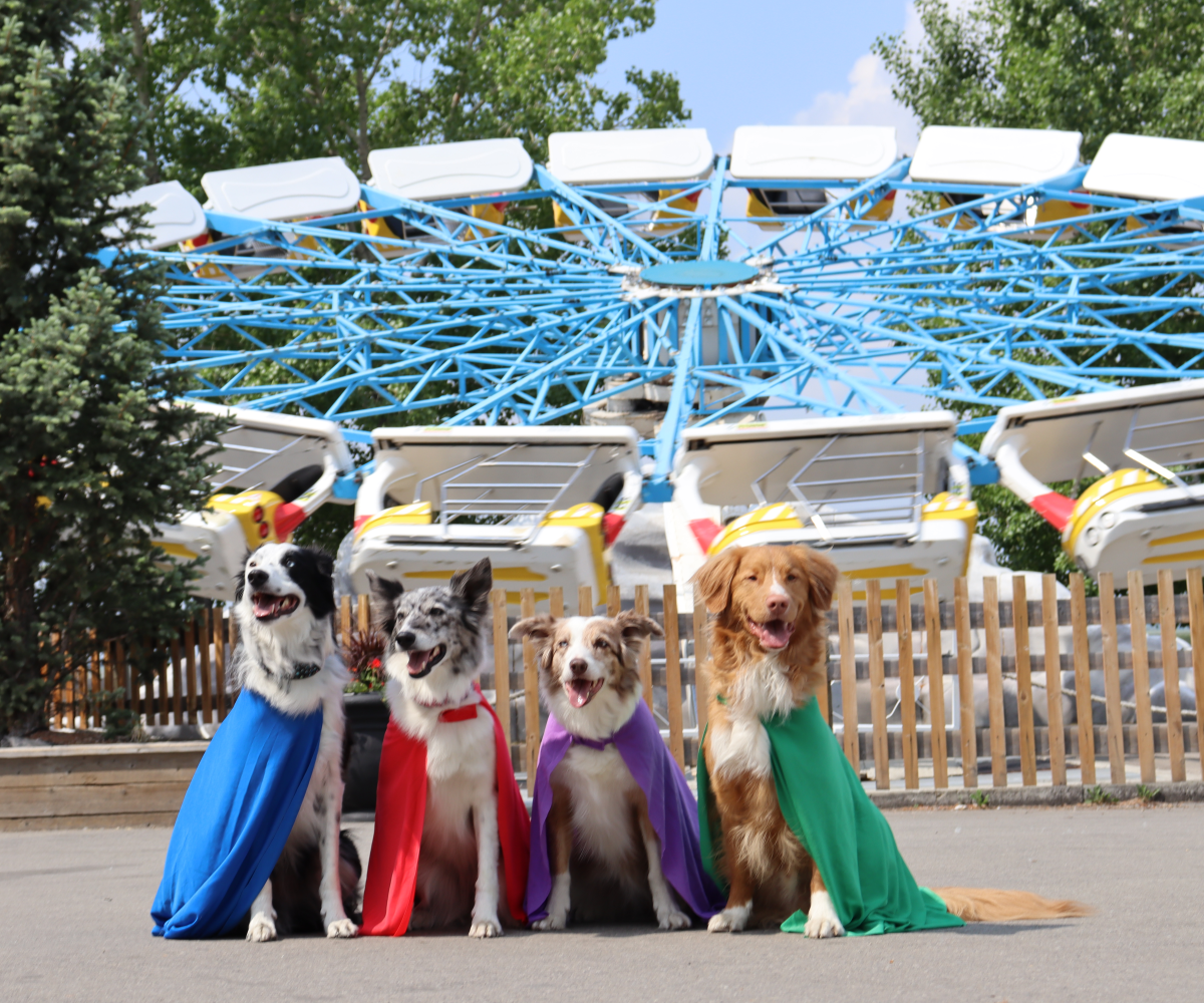 Calaway Park Comic Fest for Kids (Family Fun Calgary)